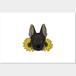 Black Sable Shepherd/Malinois with Sunflowers Posters and Art